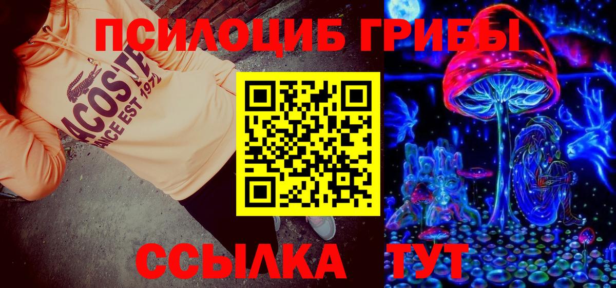 Дзержинск  Псилоцибиновые грибы MAGIC MUSHROOMS  Вход с VPN 